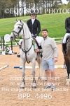 BPP_4496