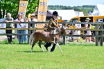 SBM_03550