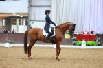 SBM_007203