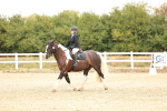 SBM_000579