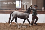 BPP_9784