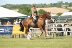 SBM_09168