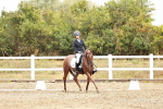SBM_003954
