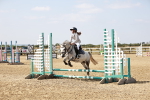SBM_000337