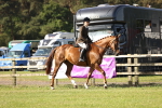 SBM_12282