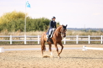 SBM_015493