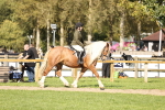 SBM_26328