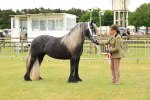 SBM_00632