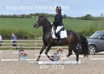 BPP_6278