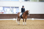 SBM_020718