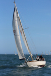 150627 BELTINI K3031 WT7A9782_E