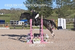 BPP_0601
