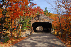 Out-and-About portfolio