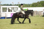 SBM_09561