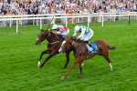 260725-Race 5-Beylerbeyi-0728