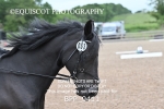 BPP_9411