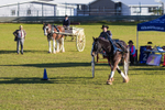 Harness Driving Challenge 4. 0A3A9637