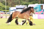 SBM_06019