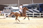 SBM_001290