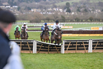 250125-Race 5-Constitution Hill-4696
