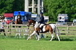 SBM_11415