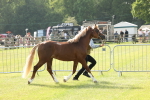 SBM_00677