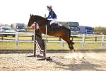 SBM_003295