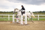 SBM_001768
