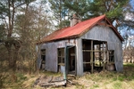 Tarland, Migvie, Mulloch and surrounding area. portfolio