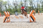 SUN CLASS 22 Senior 1.00m Speed Qualifier portfolio