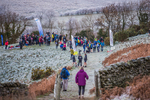 Sale Fell-14