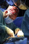 Heart Valve Operation
