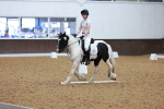 SBM_009295