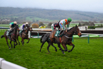 Race 7 portfolio