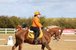 SBM_000834
