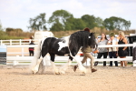 SBM_09292