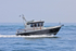 180506 PISCES - TARGA 27 1Y3A8341_Edit