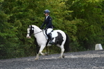 WJ5_9527