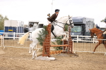 SBM_05589