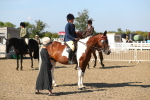 SBM_02279