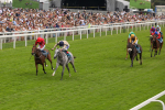 270724-Race 4-Greydreambeliever-4708