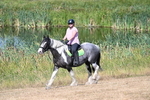 WJ7_8013