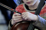 Picturing the Orchestral Family portfolio