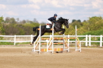 SBM_002338