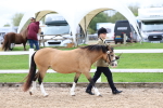 SBM_01518
