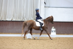 SBM_001918