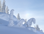 Winter - 6