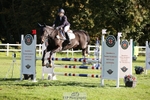 657-WATERVALLEY.DIAMOND-Holly.Horton-TrotUp+SJ portfolio