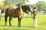 SBM_56737