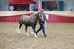 SBM_17456